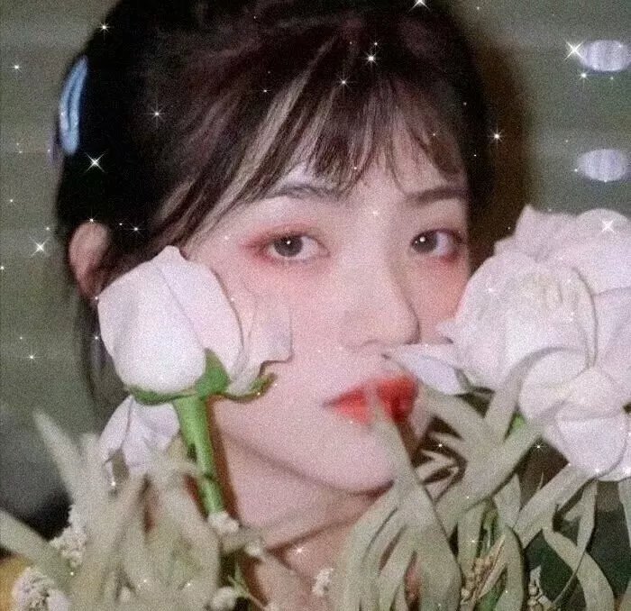芭比之花仙子